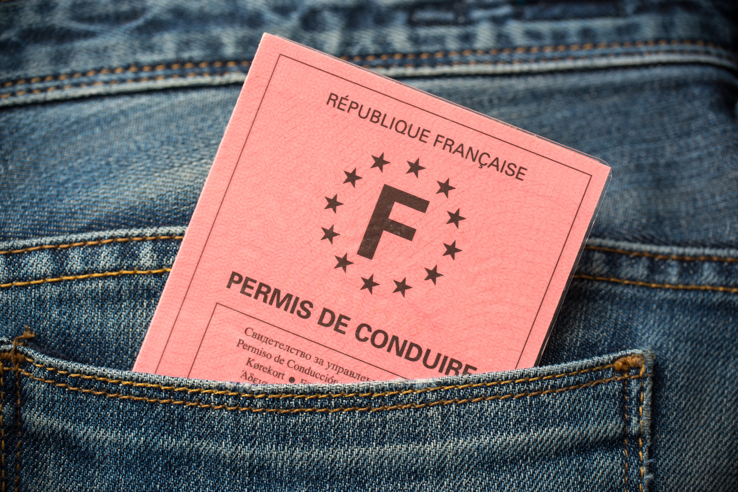 Vol permis de coduire