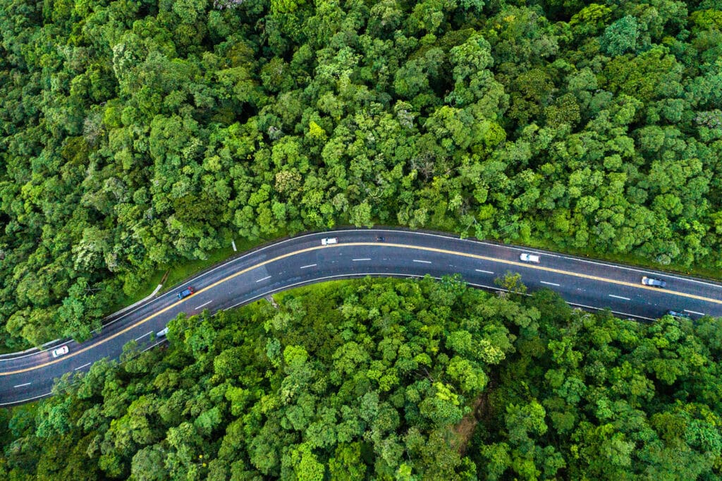 route en forêt