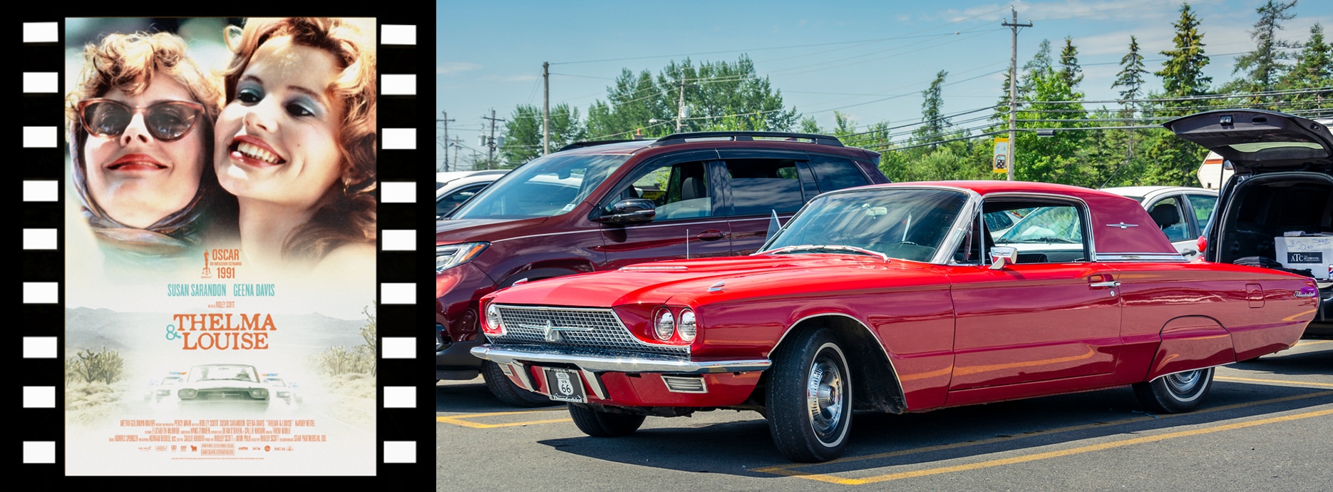 LA FORD THUNDERBIRD 1966 DE THELMA ET LOUISE