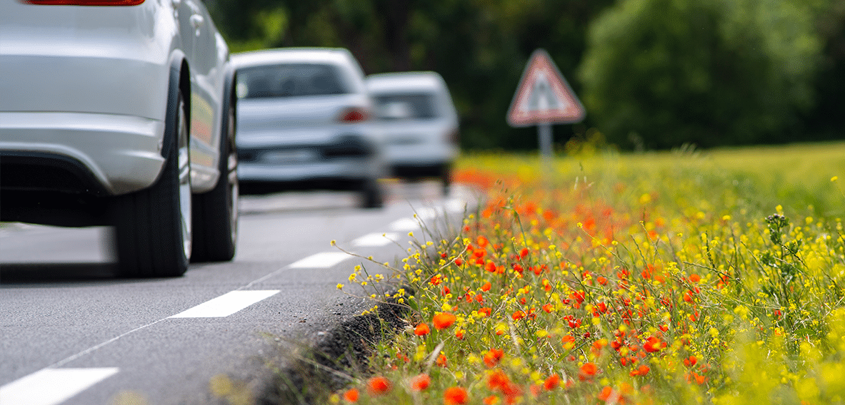 voiture sur route de campagne